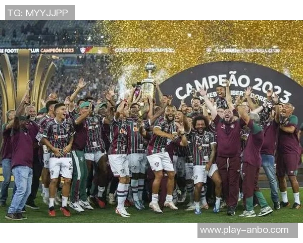 巴西球队展现统治力连续七年夺得南美解放者杯冠军荣耀
